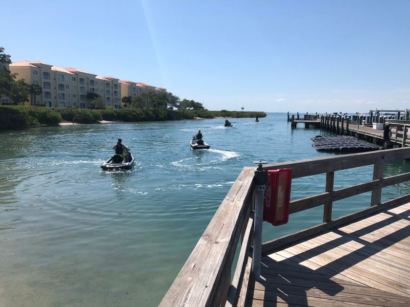 Manatee Encounters Are Common