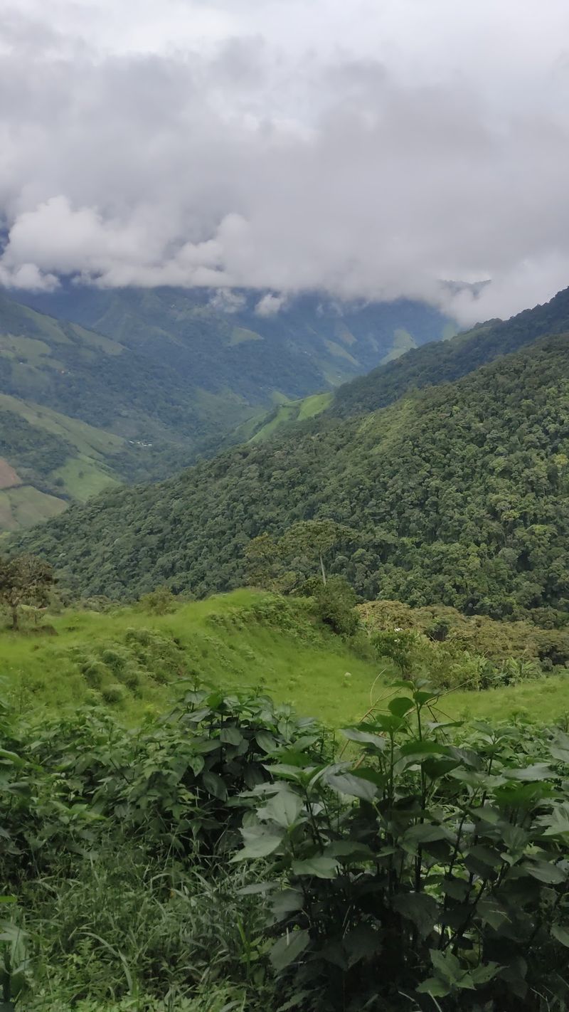 A Biodiversity Hotspot