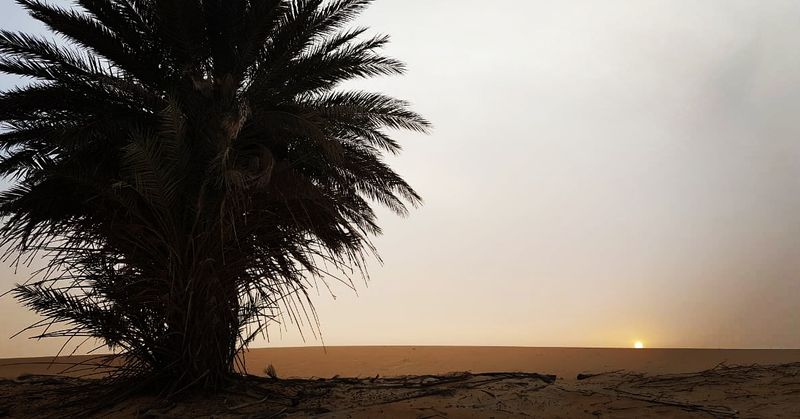 Visiting Desert, Saudi Arabia: sense of place