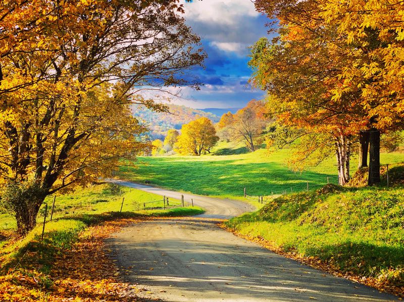 The Drive Up Cloudland Road