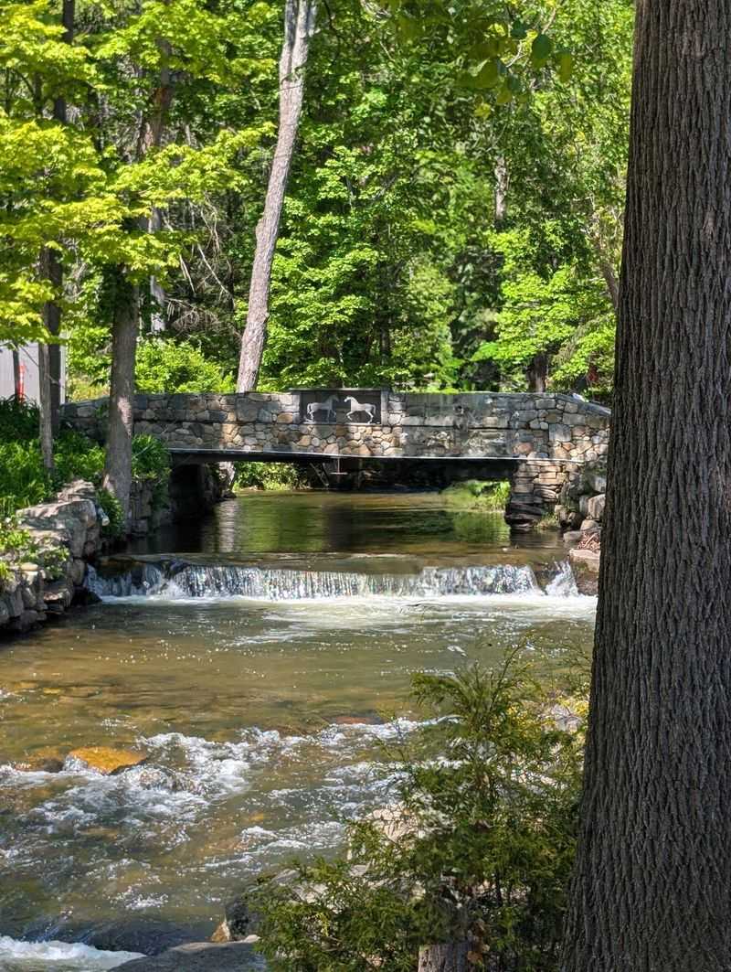 Scenic Drive Destination