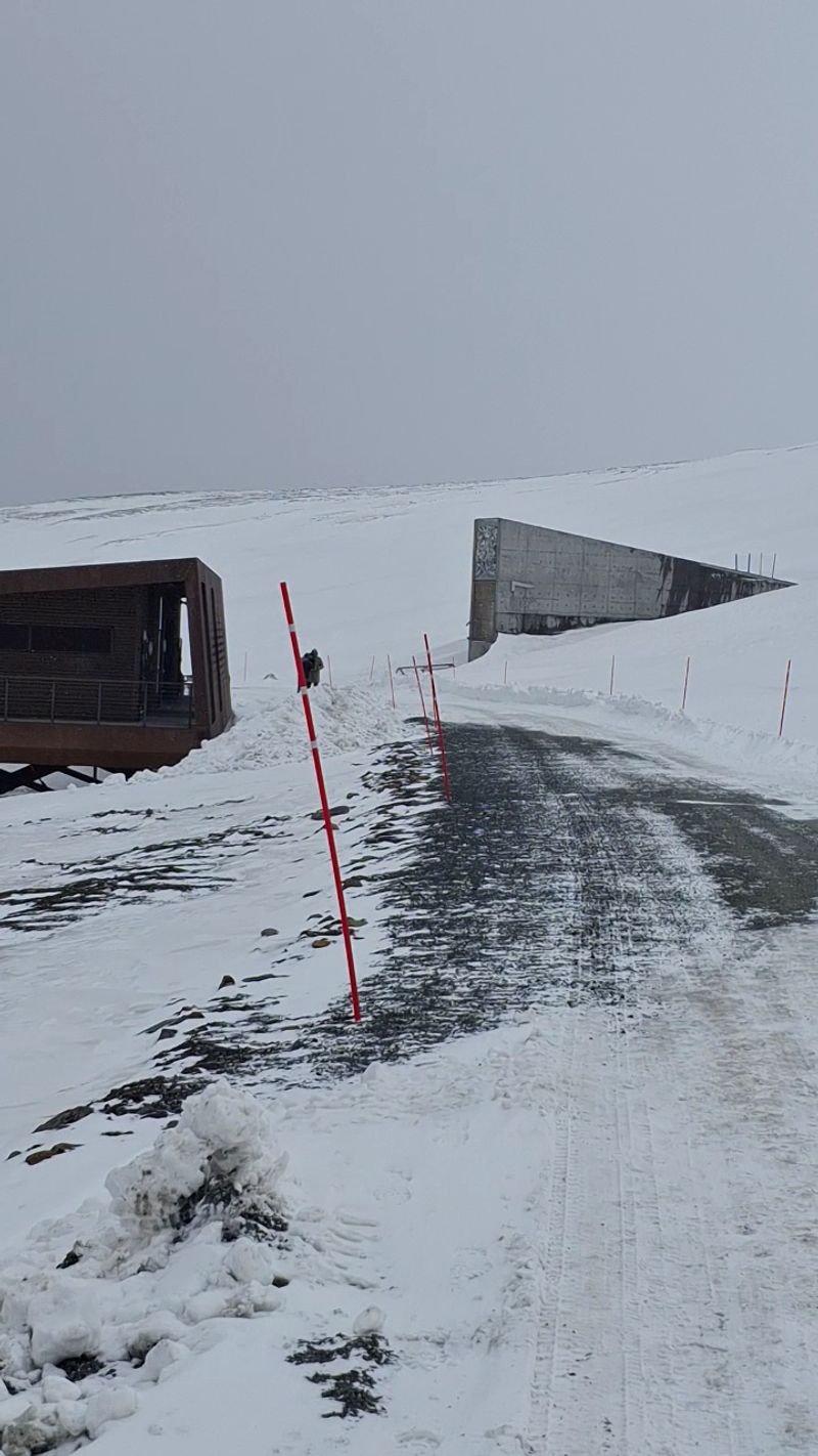 Visitor Experience Outside Only