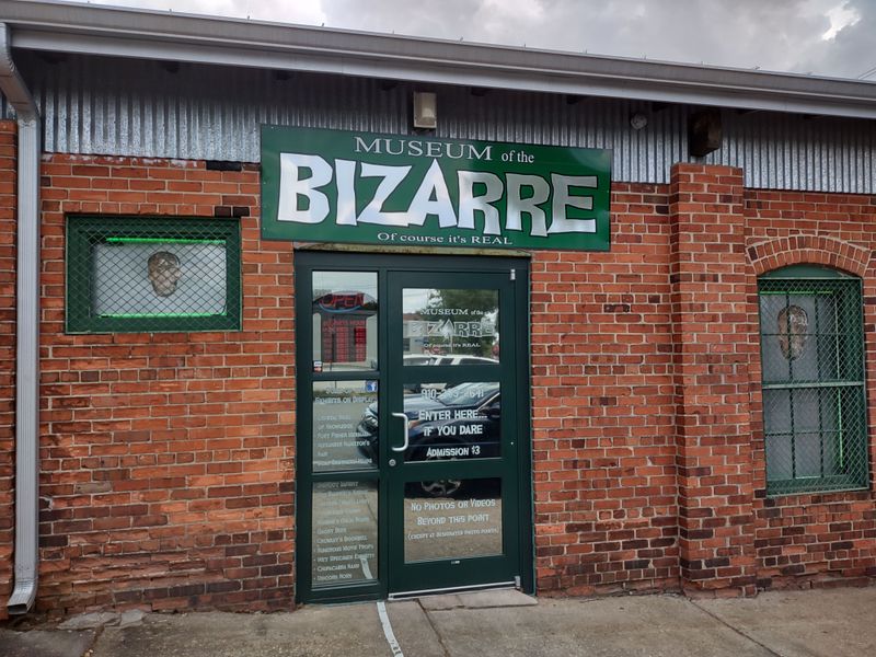 Museum of the Bizarre — Wilmington, NC