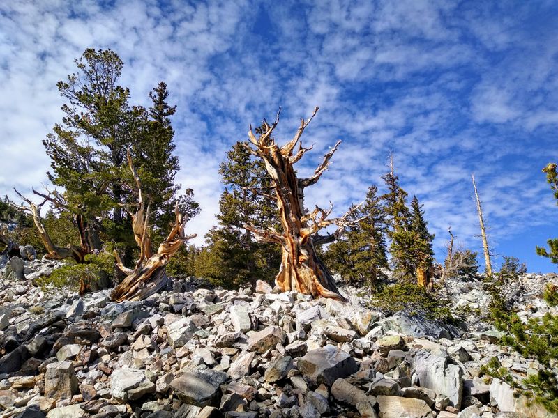 7) Great Basin National Park, Nevada