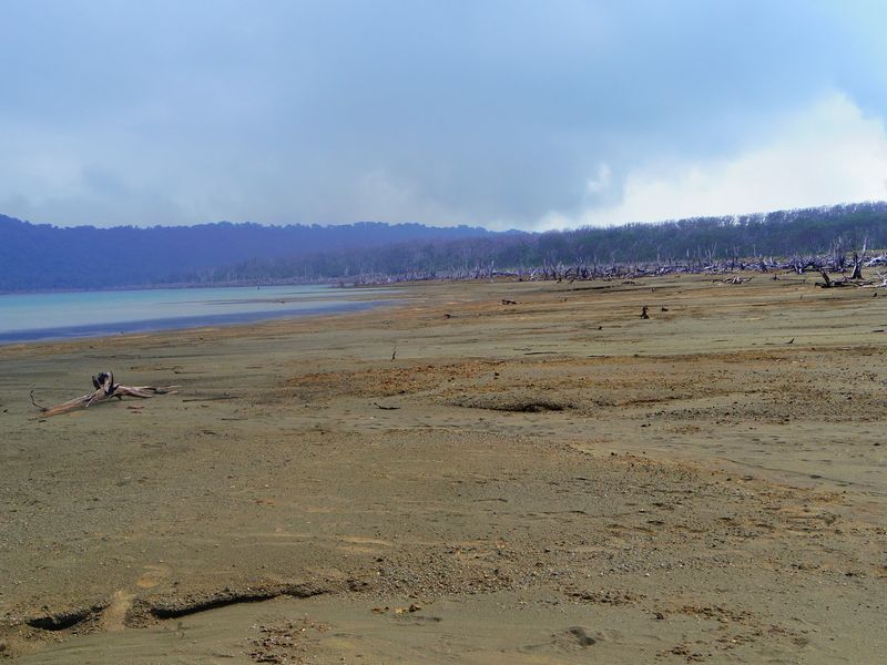 The First Signs Are Easy to Miss