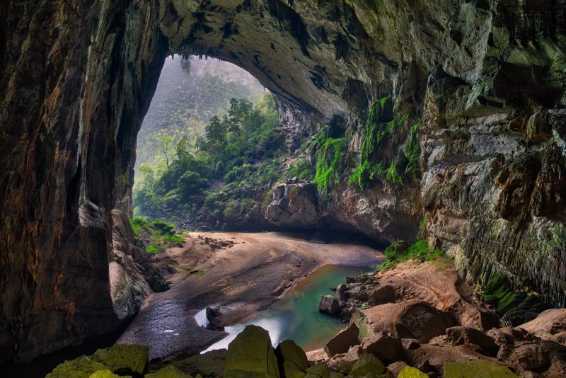 It has its own underground 'jungle' (with real trees)