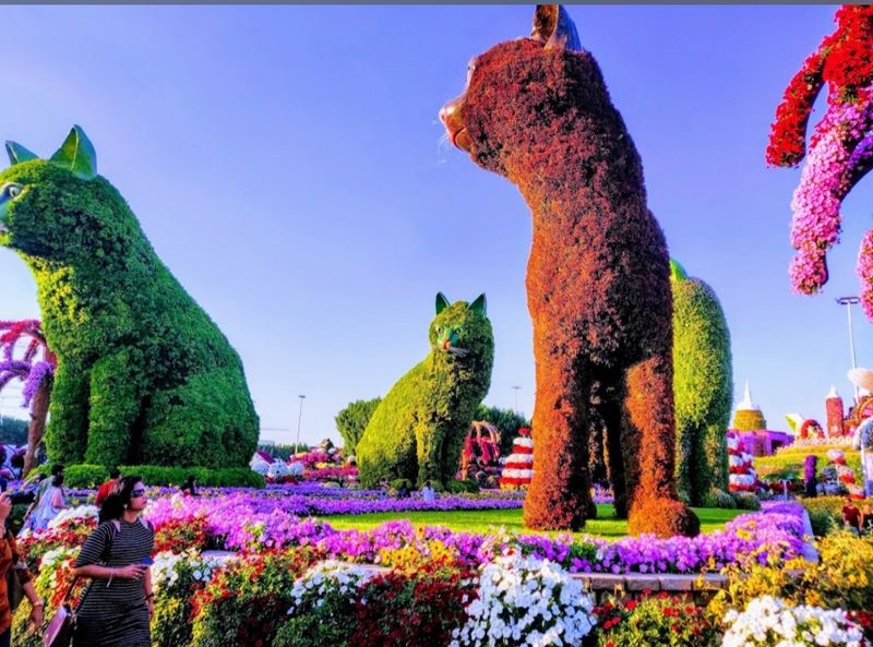 Every season gets refreshed so repeat visits don't feel repetitive