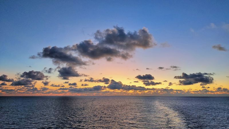 Life Continues Without Sunlight