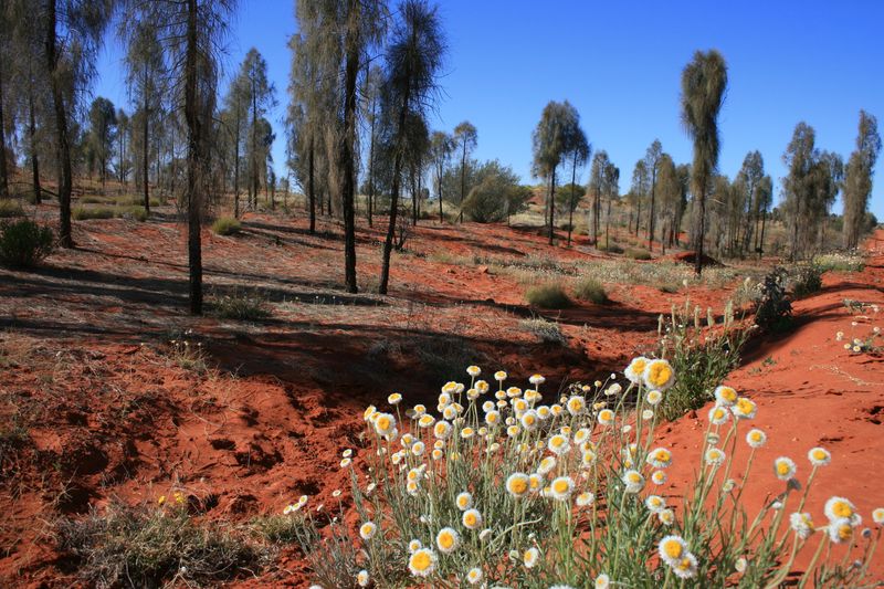 It barely flows most of the year