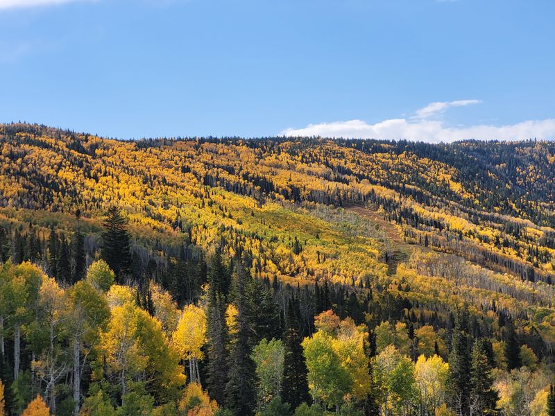 You get a legit 1,600 acres to explore