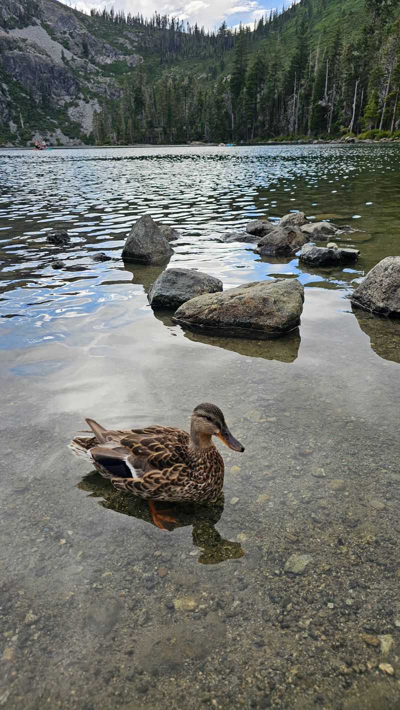 It Still Feels Like a Secret