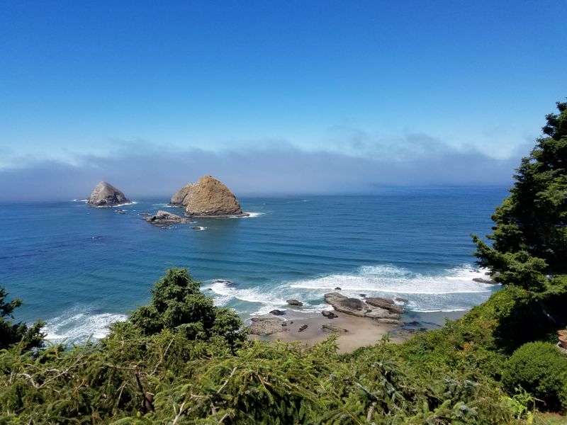 Wildlife Sightings Are Common