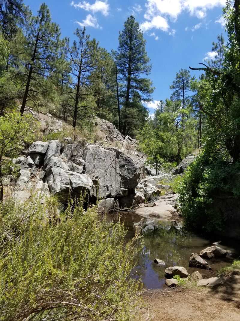 The Climate Is Mild Compared to Most of Arizona