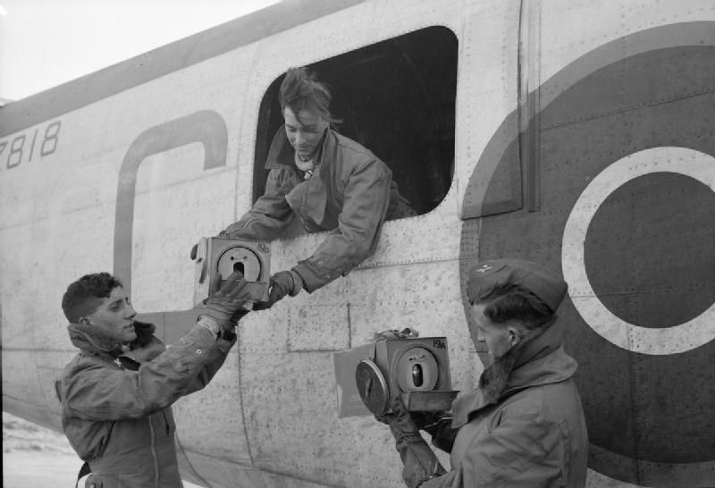 Animals Served Documented Roles in Military Operations