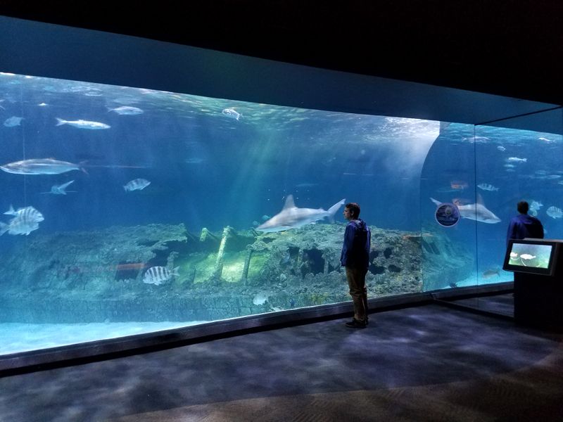 NC Aquarium on Roanoke Island: an easy rainy-day win (open daily; closed Thanksgiving + Christmas)