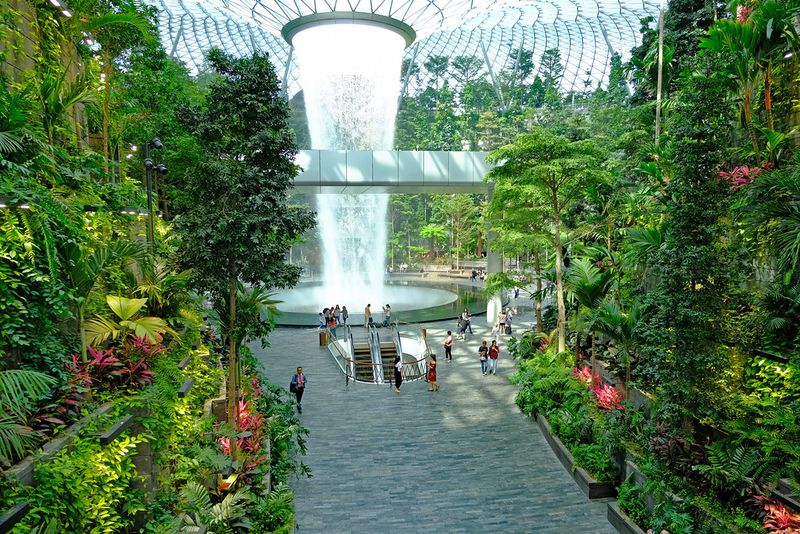 The Forest Valley feels like you walked into a rainforest inside a building