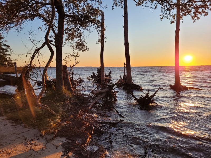 Nags Head Woods Preserve: swap beach heat for shady maritime-forest trails