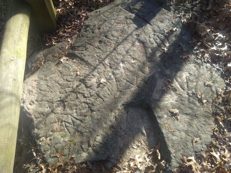 Physical Descriptions Emphasized Short Stature and Pale Skin