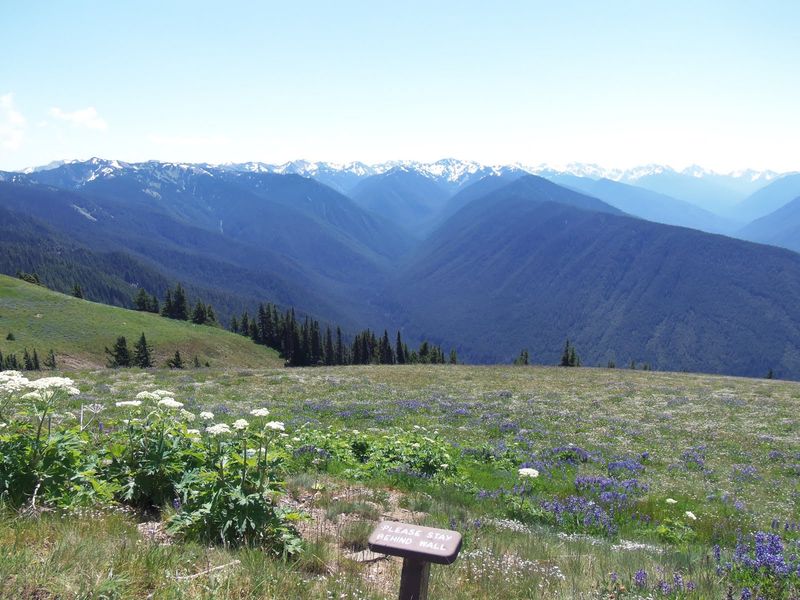 Olympic National Park, Washington