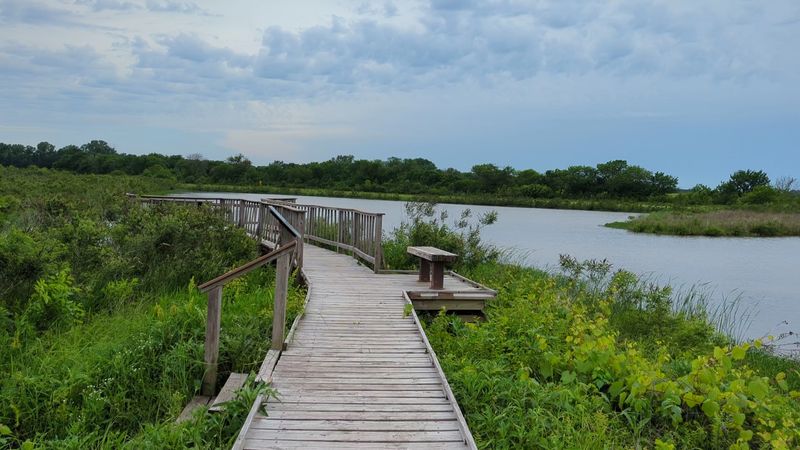 Baker Wetlands Sunrise Walk