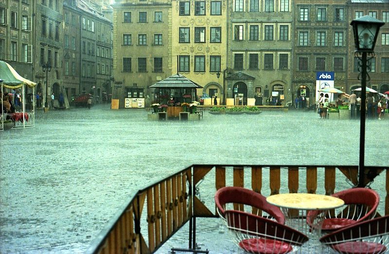 Raining Cats and Dogs