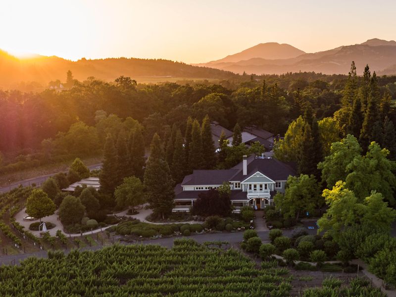 Duckhorn Vineyards — Napa Valley & Sonoma, California