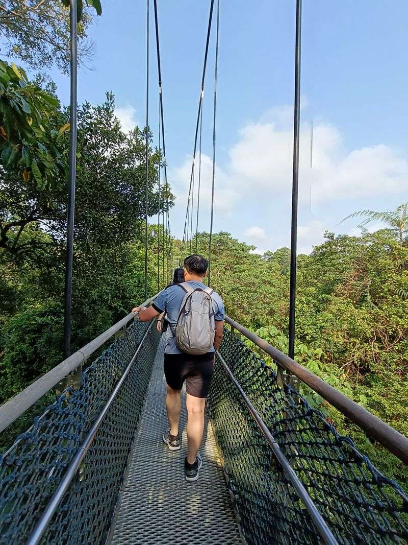 Singapore — Effortless Solo Exploration