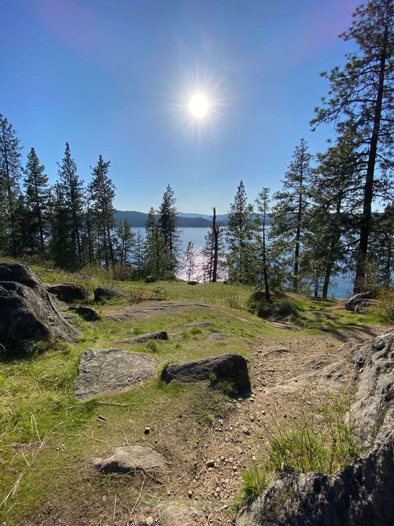 Tubbs Hill Loop Trail