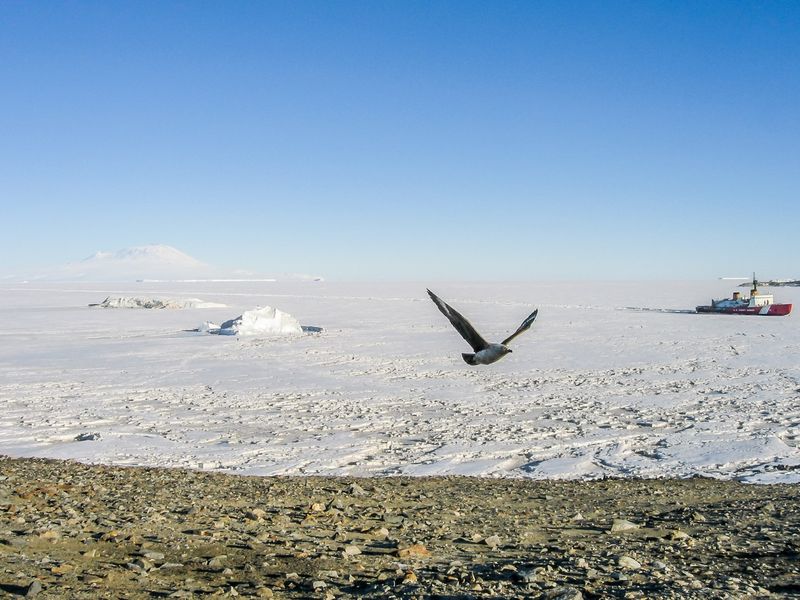 Lake Adventure – A Lake With a Mysterious Pulse