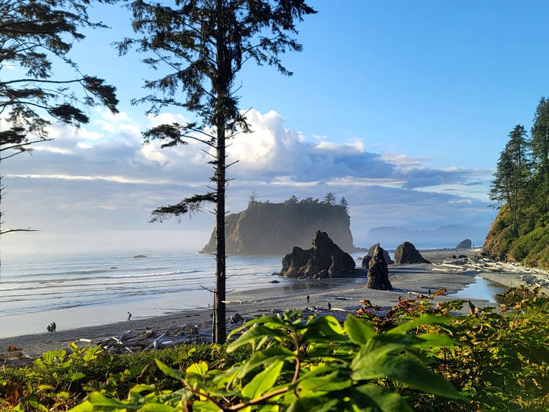 Ruby Beach Sea Stack Drama