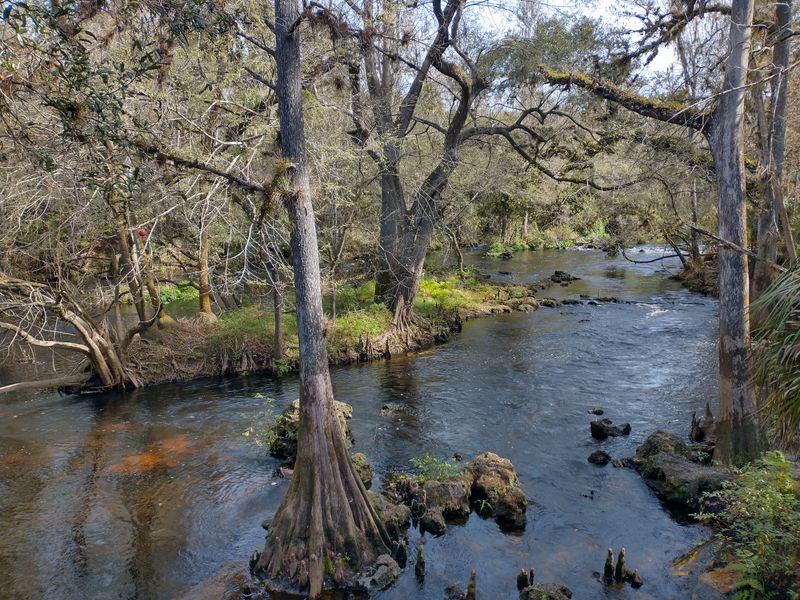 Hillsborough River State Park