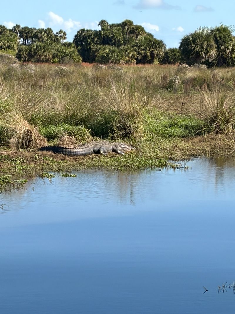 Lake George (St. Johns River)