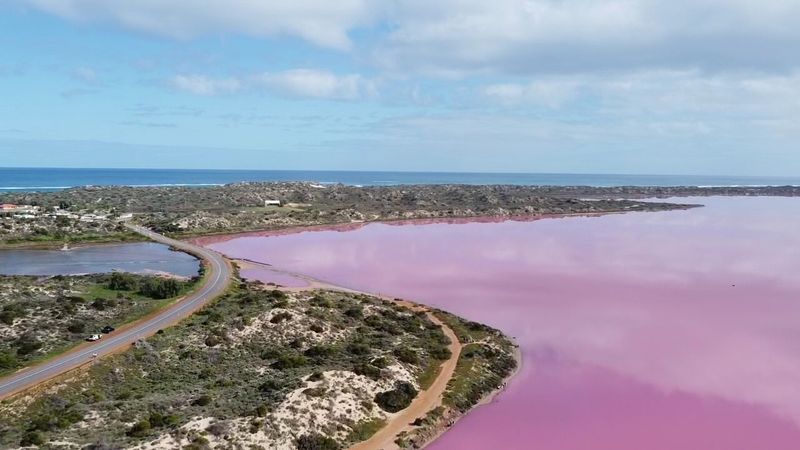 Lake Hillier-Style Pink Lake (Hutt Lagoon comparison fans look here)
