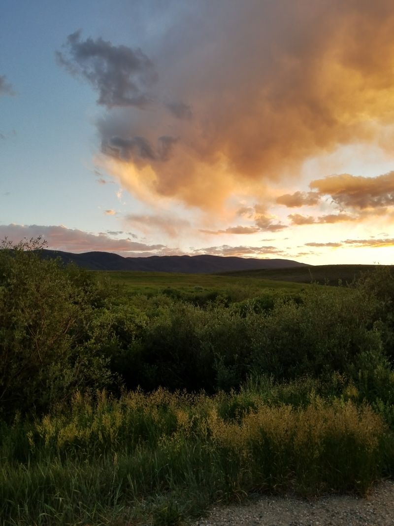 Scenic Hiking Trails