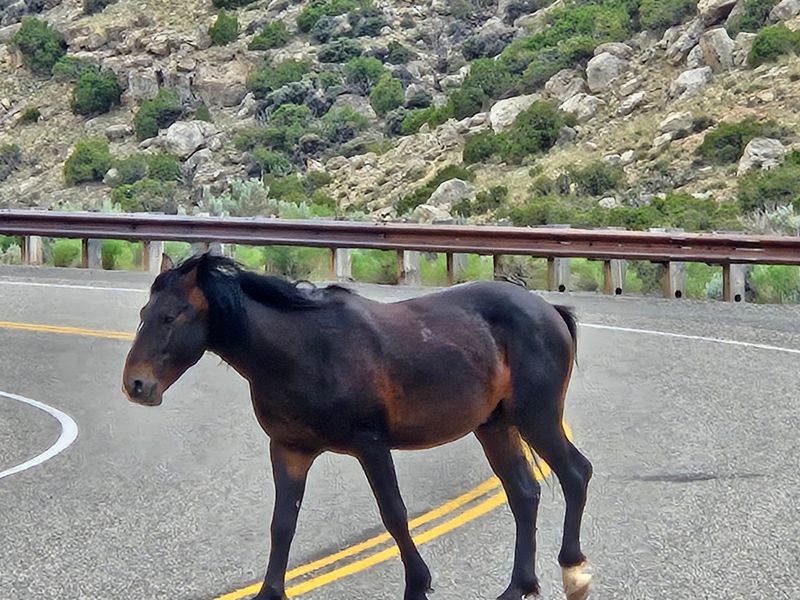 Best Spots To View Safely