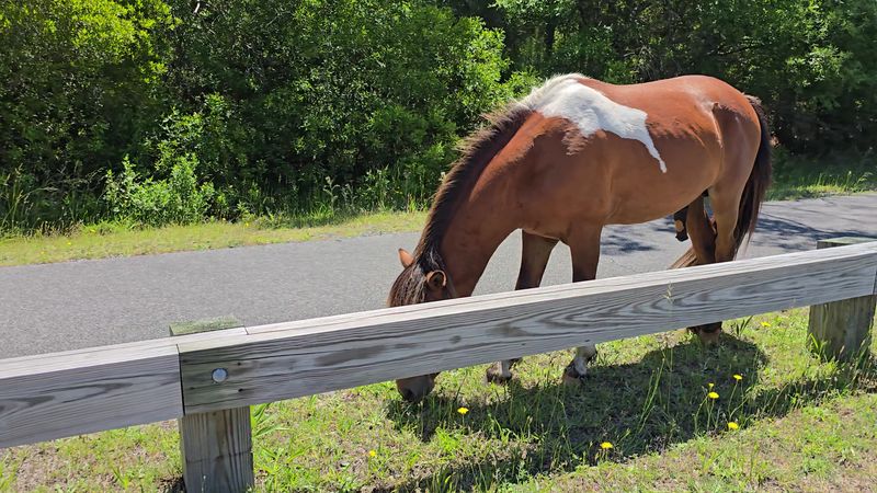 Quick Planning Checklist