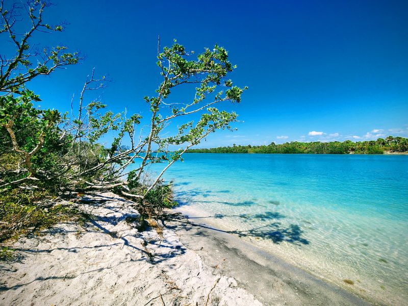 Stump Pass Beach State Park (Englewood)