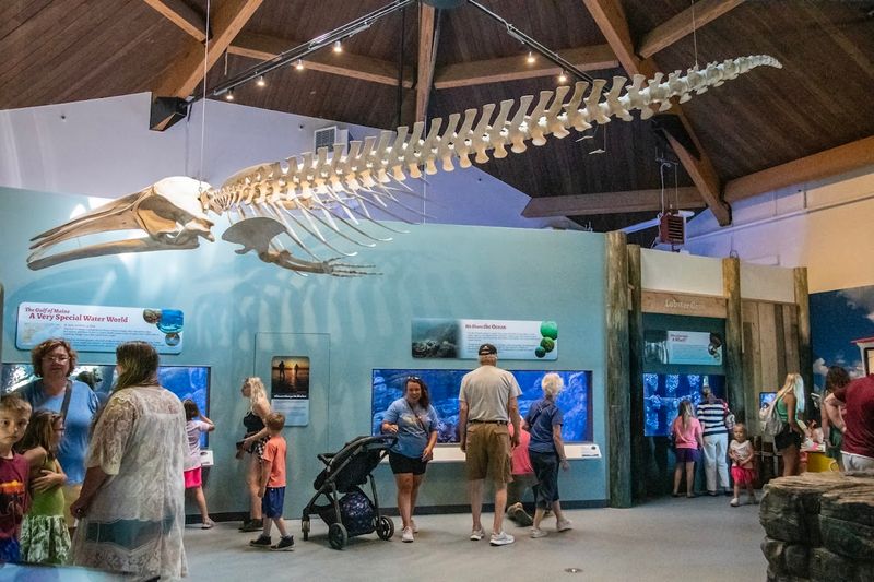 Family fun that feels effortless