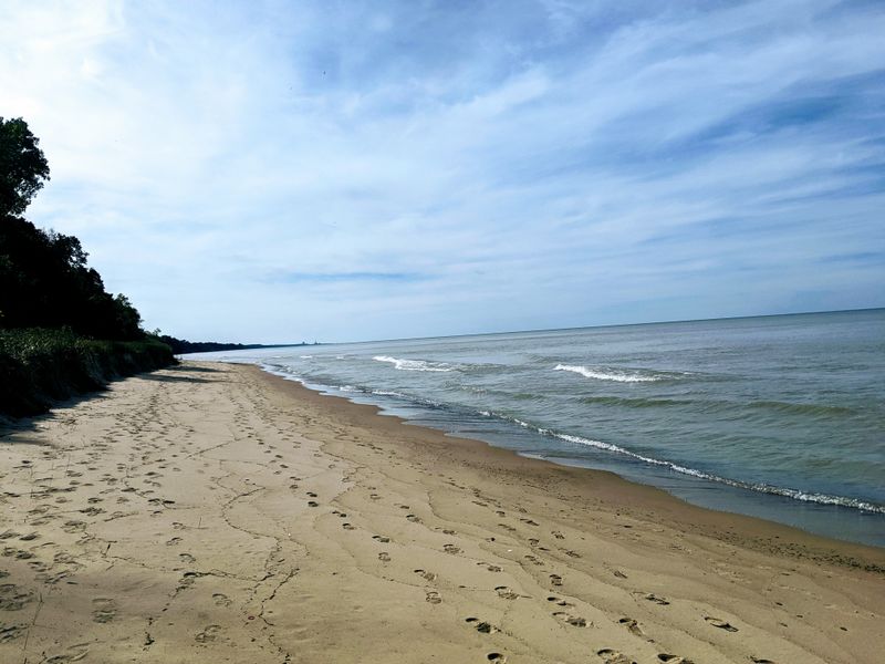 Why Chicagoans Love It