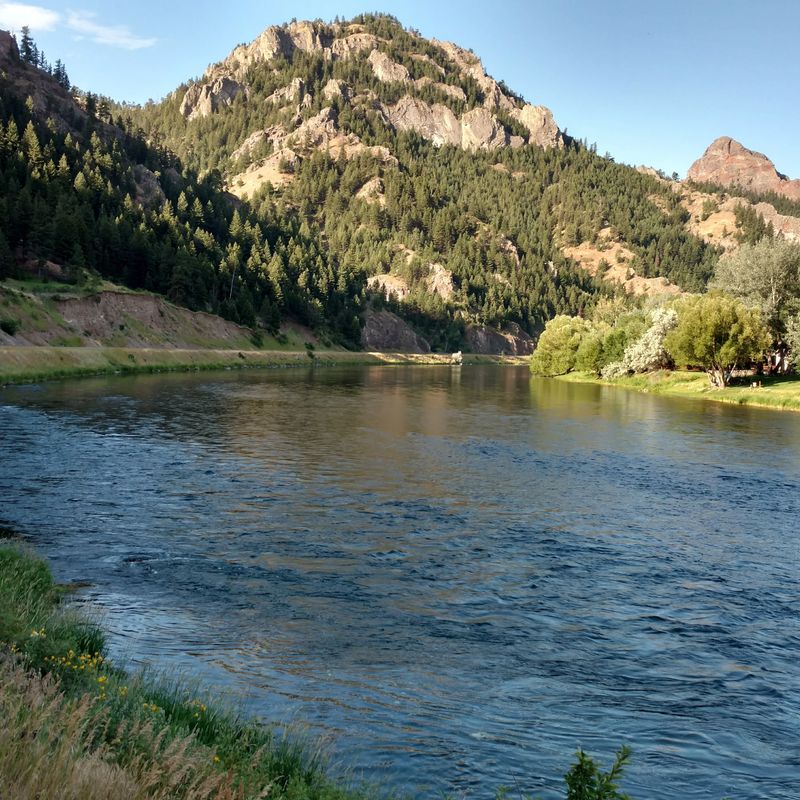 Wildlife Still Shapes Daily Life