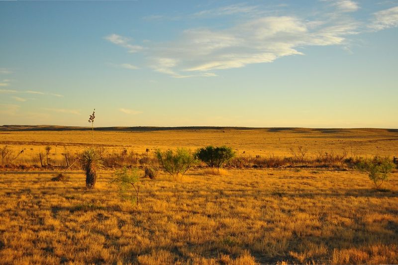Desert Photo Walk at Golden Hour