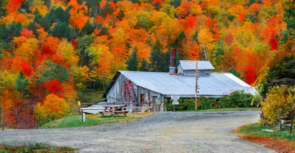 Locals Say This Is the Prettiest Small Town in New England and They’re Not Wrong