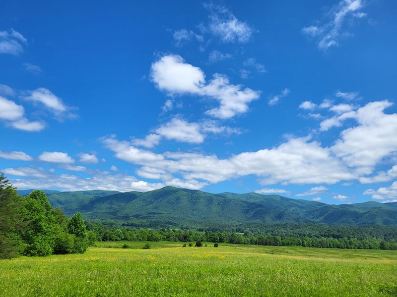 Cades Cove Bicycle Riding — Quiet Wheels on Historic Roads