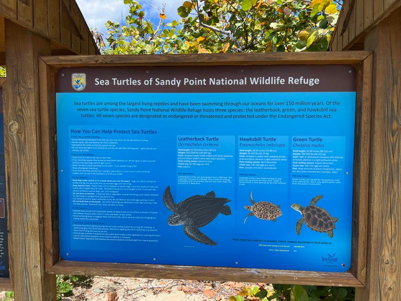A protected sea-turtle refuge is part of the landscape on St. Croix
