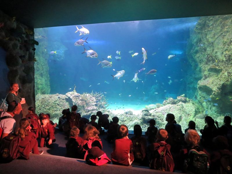 Choose one indoor wow stop: Art Gallery of NSW or SEA LIFE Sydney Aquarium