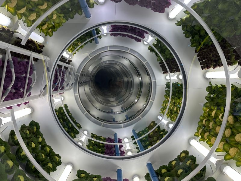 Why Space 220 Is Worth One Orbit