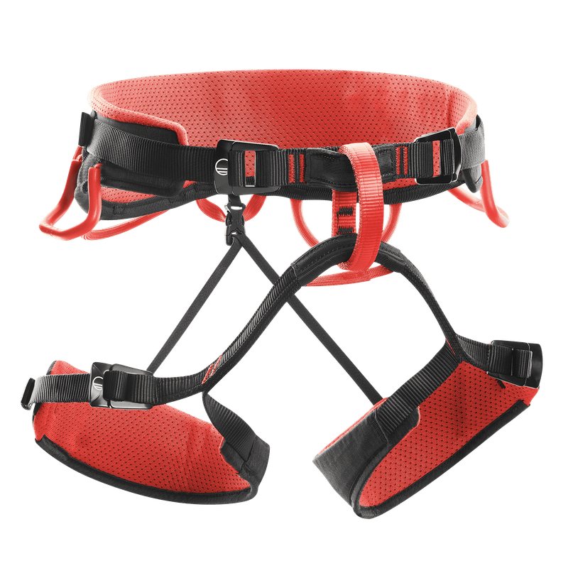 Wild Country Syncro Harness