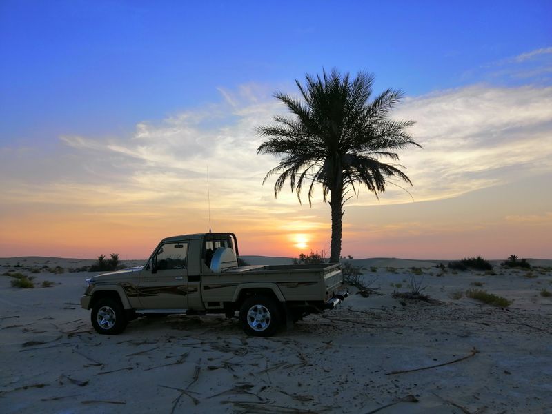 Industrial necessity, not simple scarcity