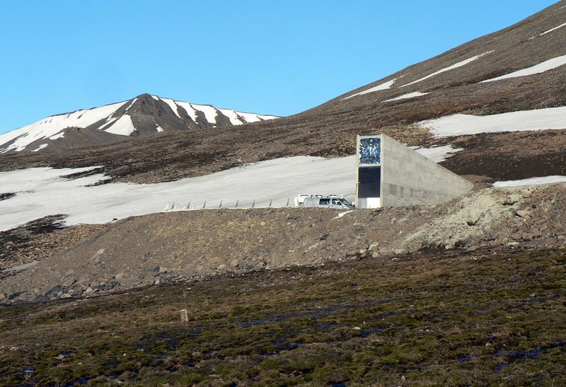 Free Storage for Countries