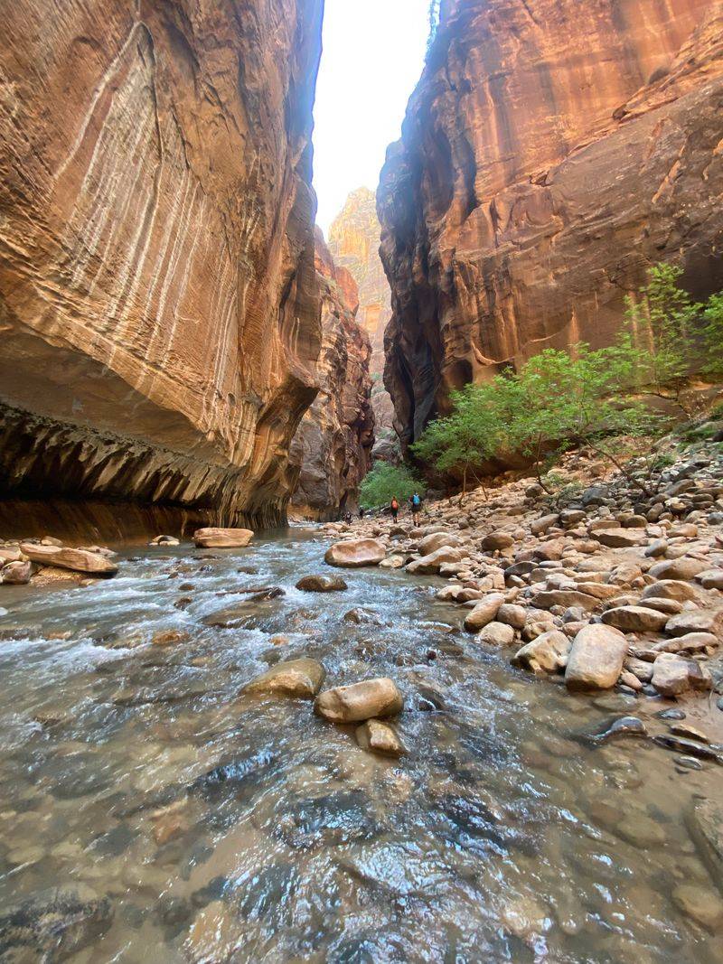 The Narrows, Zion National Park (Utah)